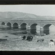 Böhl glass slide 21./659